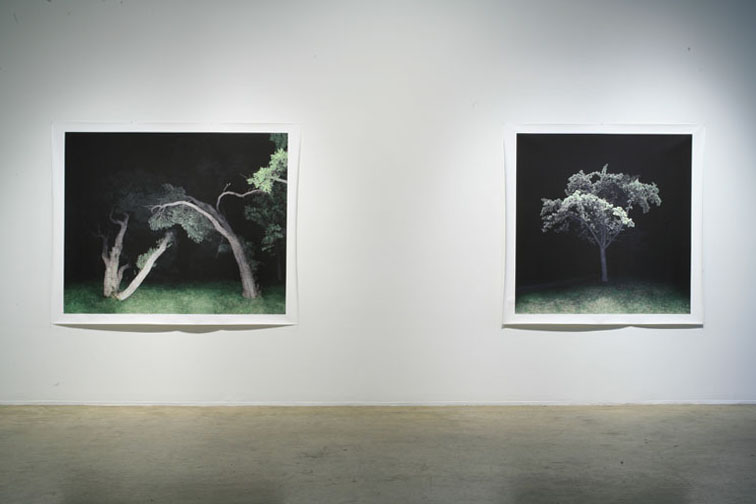 jocelyn philibert Des arbres dans la nuit<br />Trees in the Night