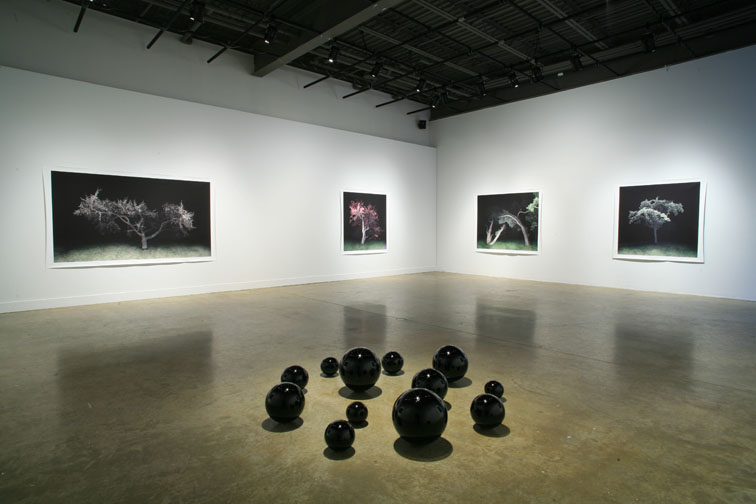 jocelyn philibert Des arbres dans la nuit<br />Trees in the Night