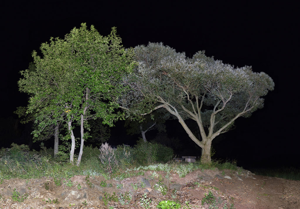 jocelyn philibert Illumination