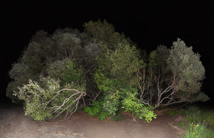 jocelyn philibert Sites